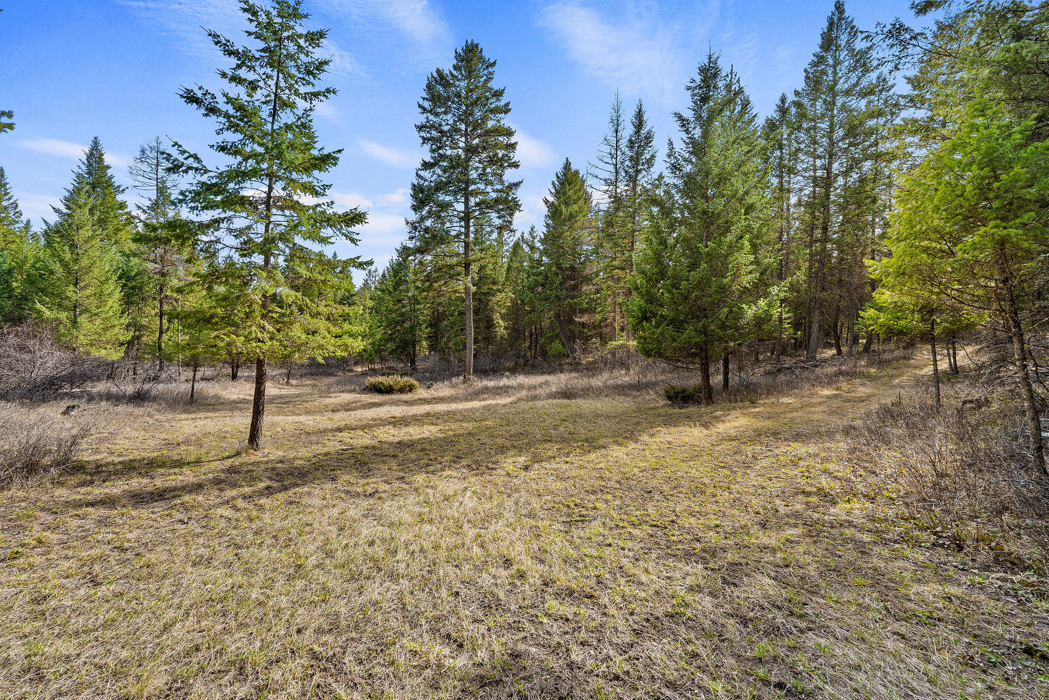 1085 K M Ranch Road Property Photo 70