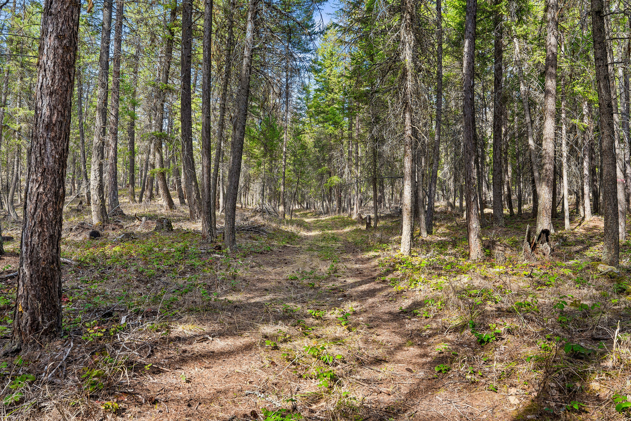 1085 K M Ranch Road Property Photo 71