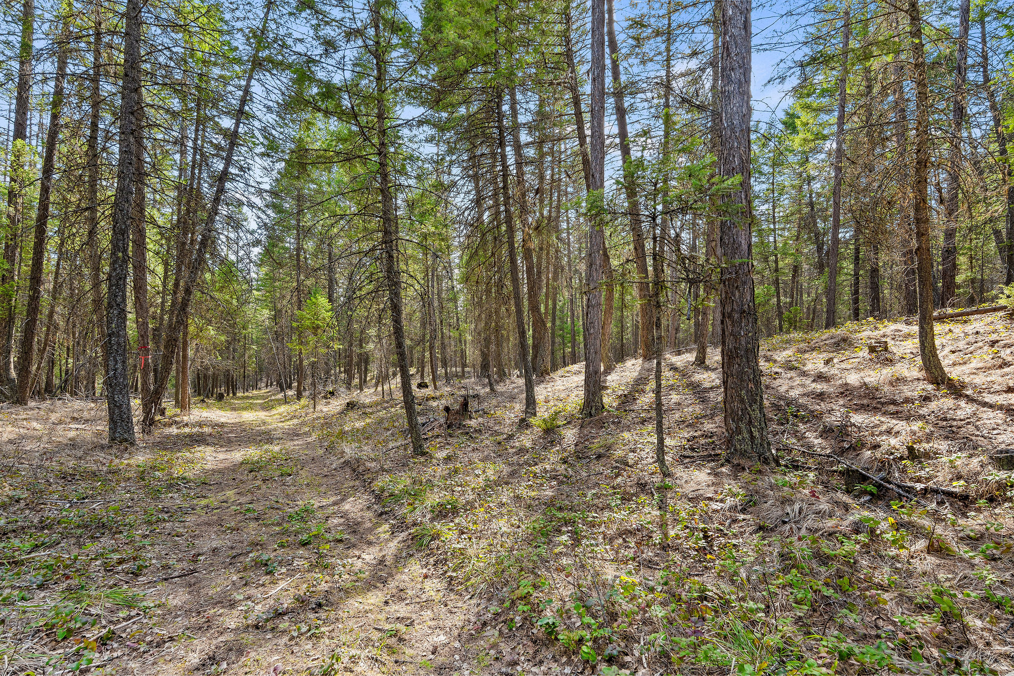 1085 K M Ranch Road Property Photo 72