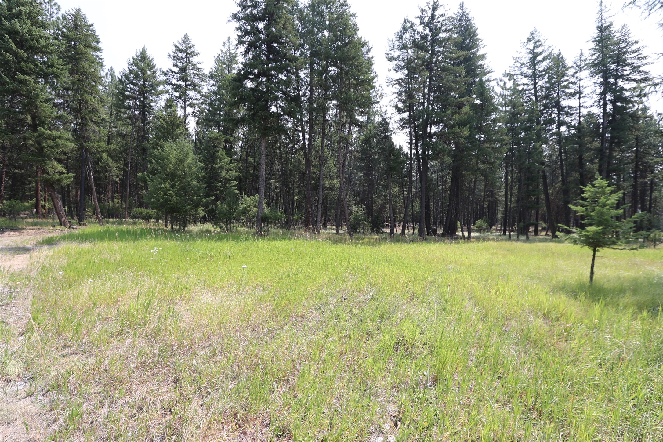 40 Old Cedar Creek Road Property Photo 54