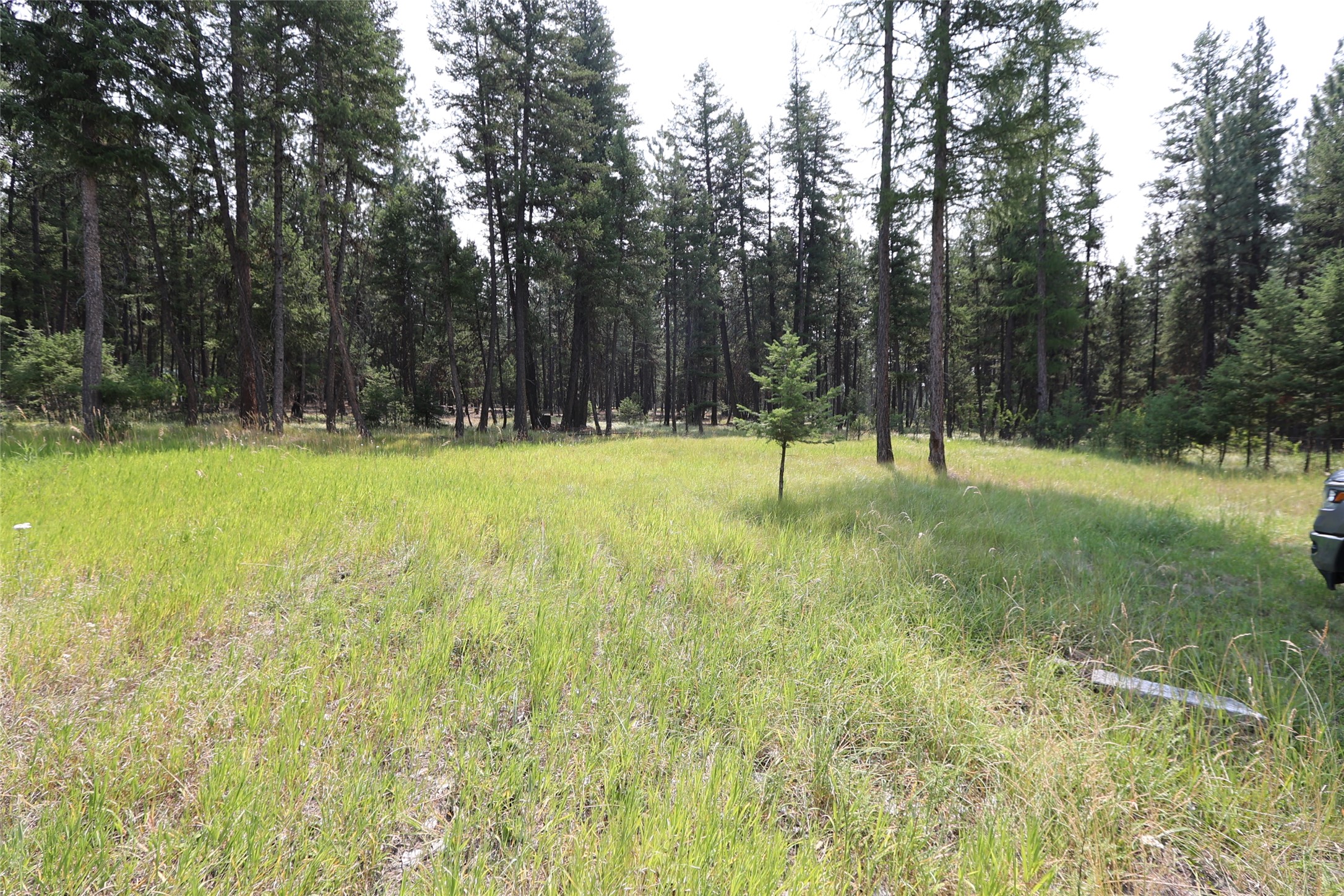 40 Old Cedar Creek Road Property Photo 55