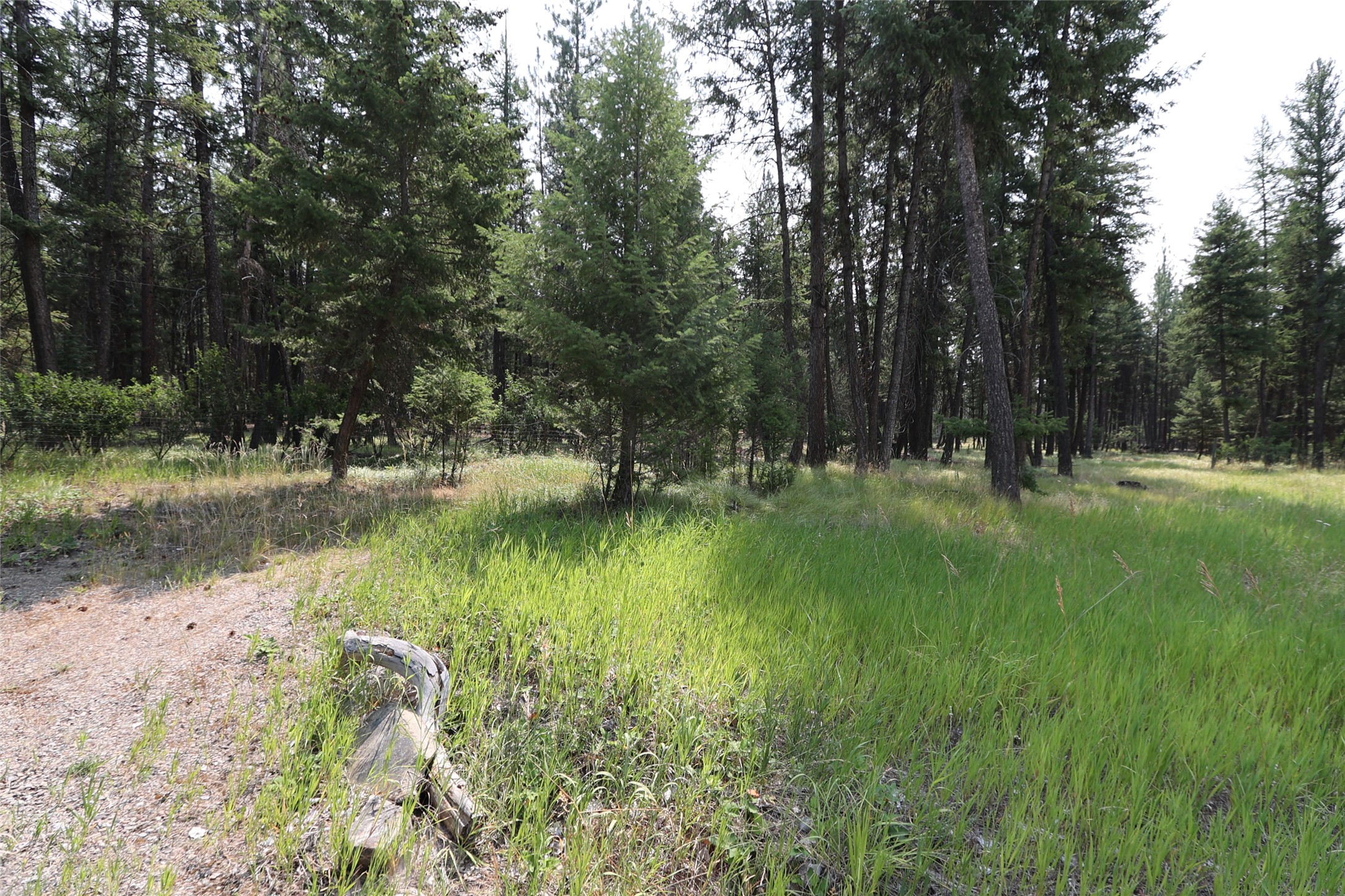 40 Old Cedar Creek Road Property Photo 58