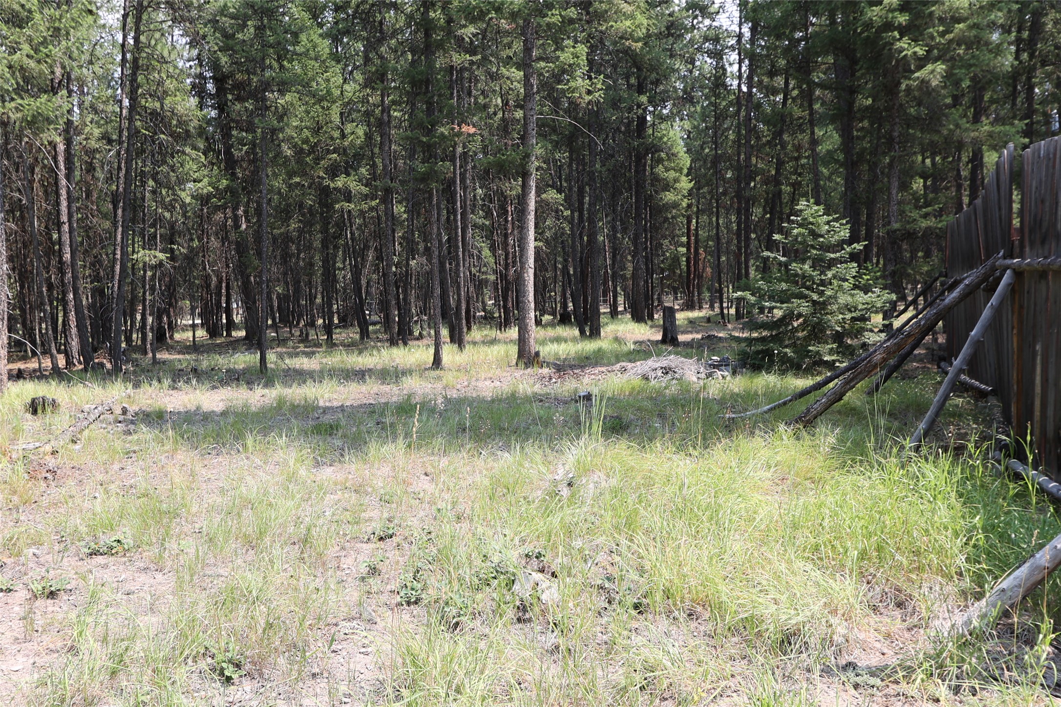 40 Old Cedar Creek Road Property Photo 63