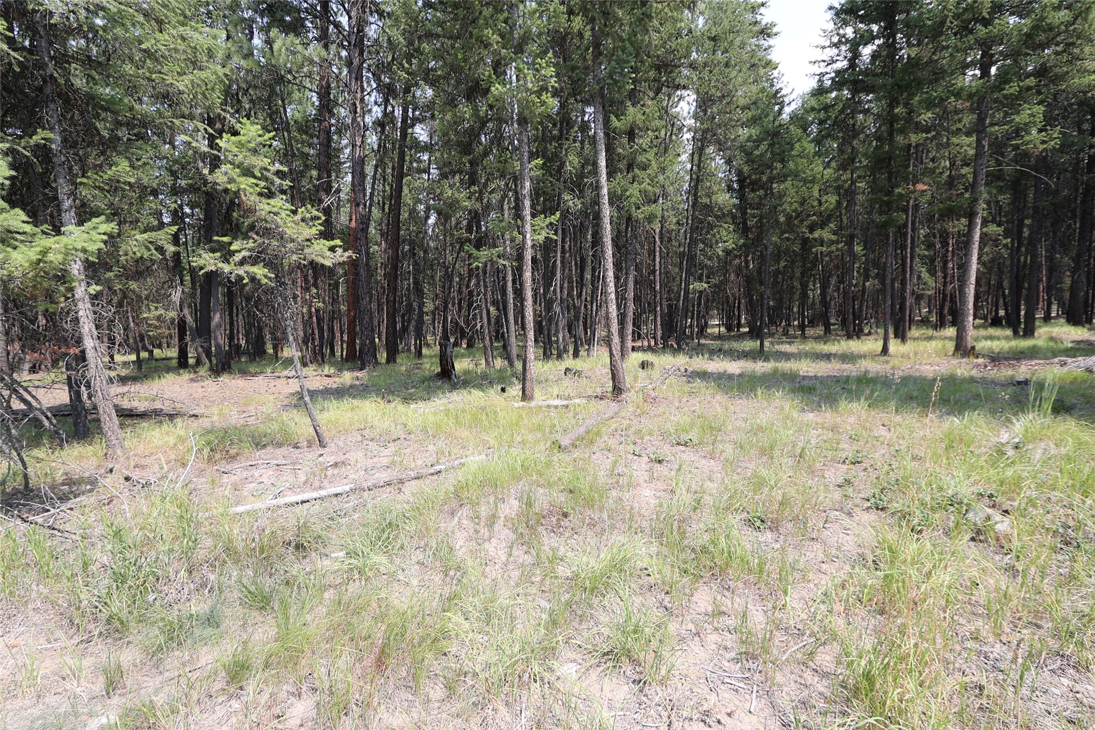 40 Old Cedar Creek Road Property Photo 64