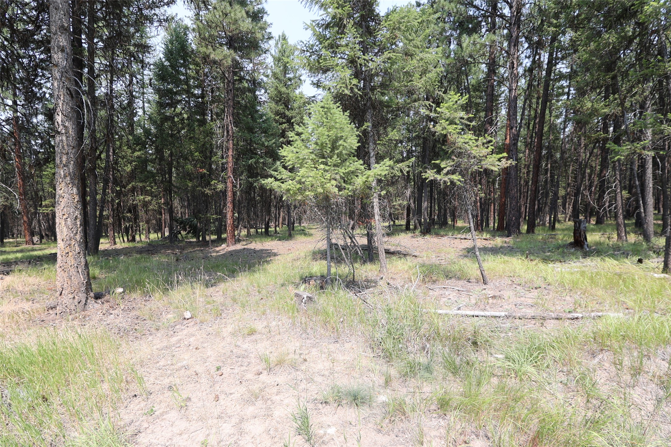 40 Old Cedar Creek Road Property Photo 65