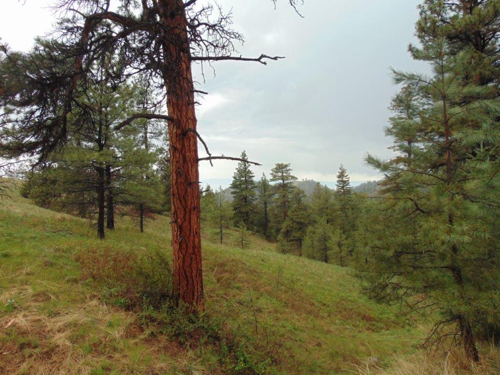 Tbd Shady Springs Property Photo 2