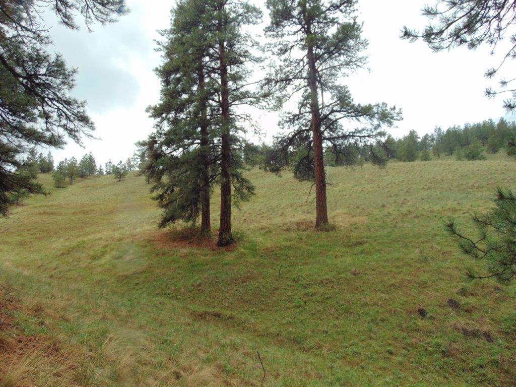 Tbd Shady Springs Property Photo 3