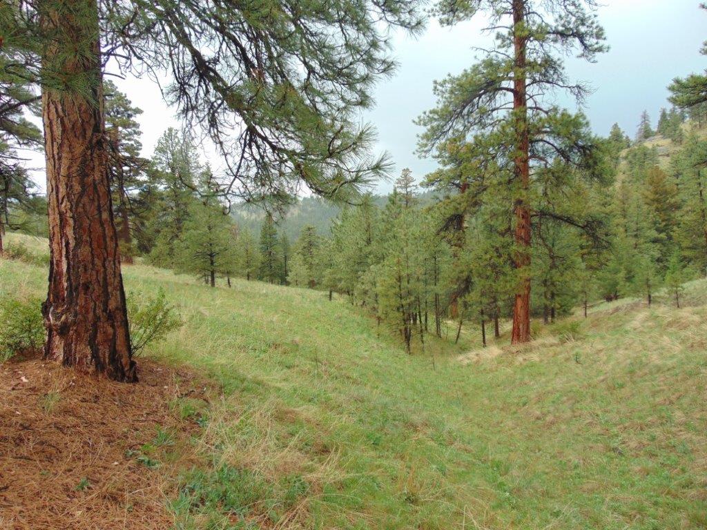 Tbd Shady Springs Property Photo 4