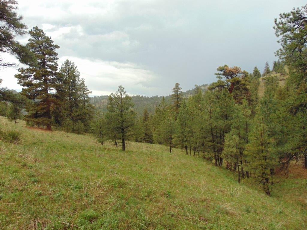 Tbd Shady Springs Property Photo 6