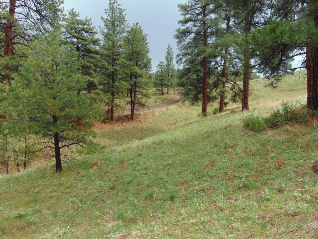 Tbd Shady Springs Property Photo 8