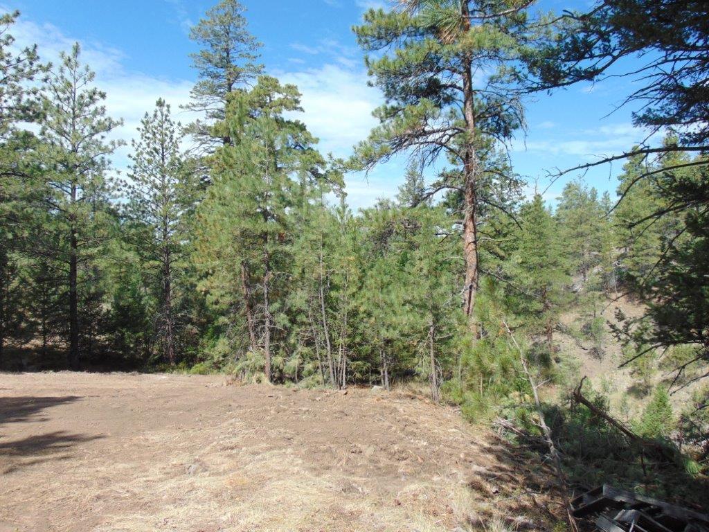 Tbd Shady Springs Property Photo 9