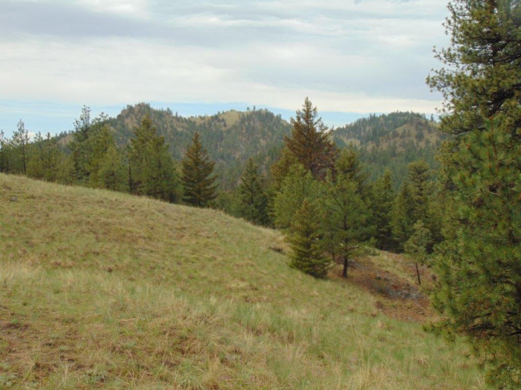 Tbd Shady Springs Property Photo 11