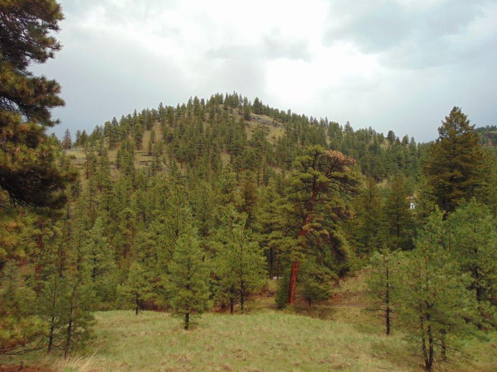 Tbd Shady Springs Property Photo 12