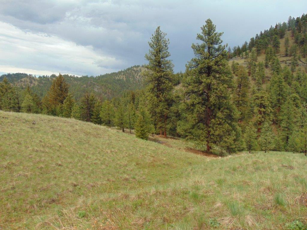 Tbd Shady Springs Property Photo 13