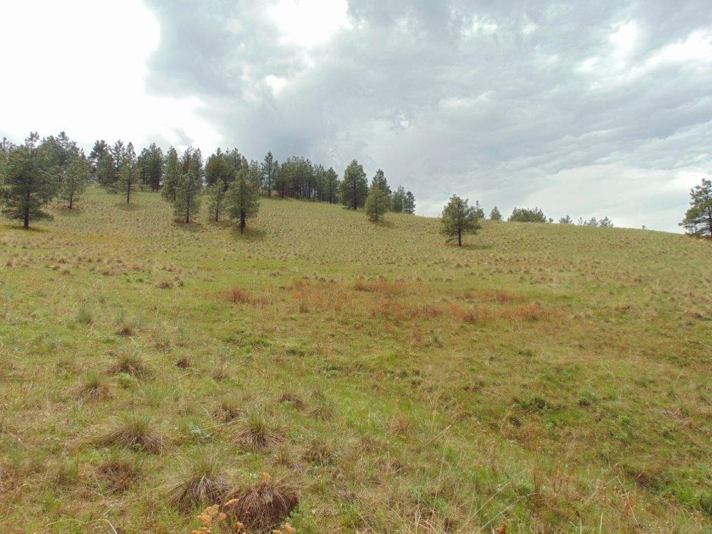 Tbd Shady Springs Property Photo 14