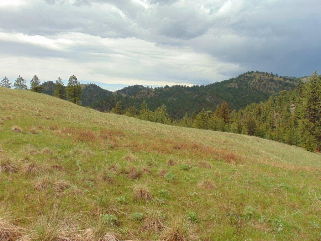 Tbd Shady Springs Property Photo 15