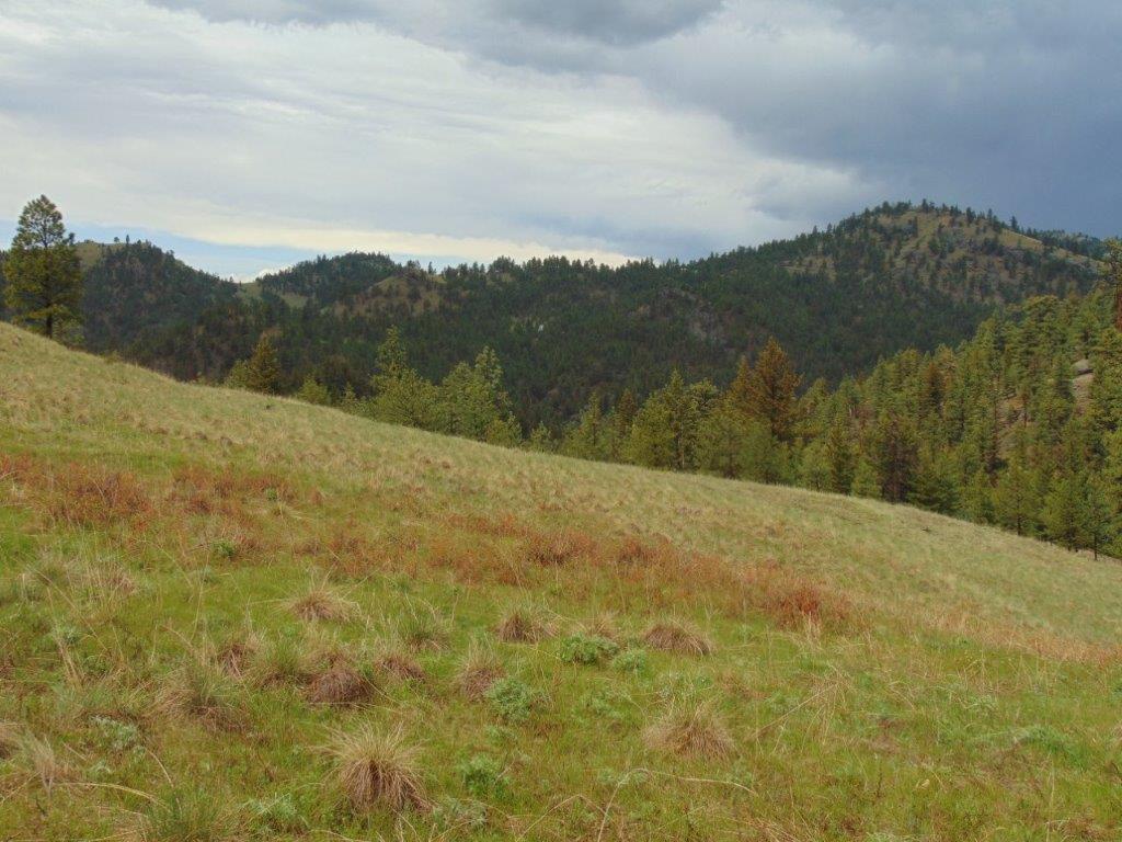 Tbd Shady Springs Property Photo 16