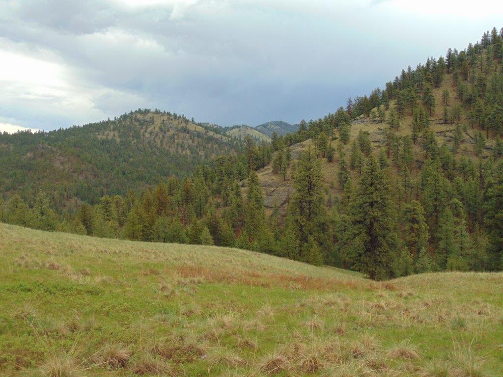 Tbd Shady Springs Property Photo 17