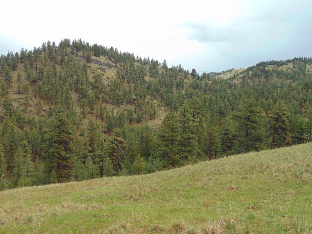 Tbd Shady Springs Property Photo 18