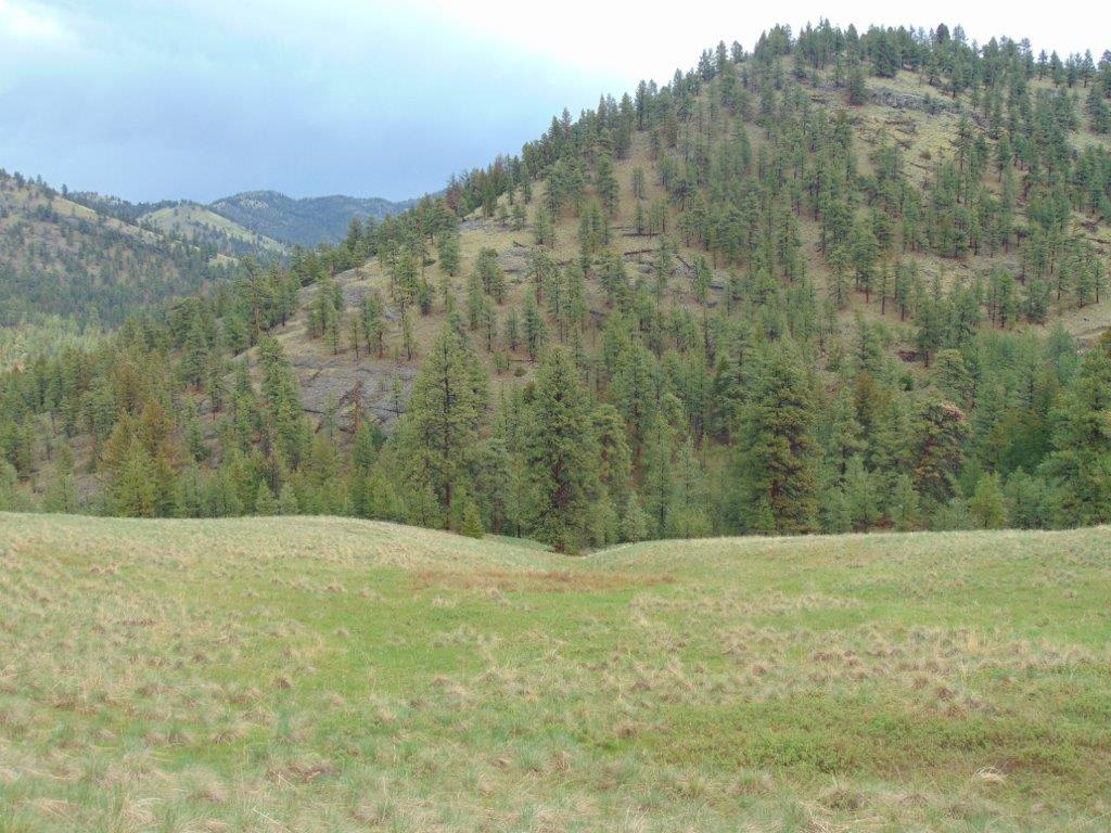 Tbd Shady Springs Property Photo 19