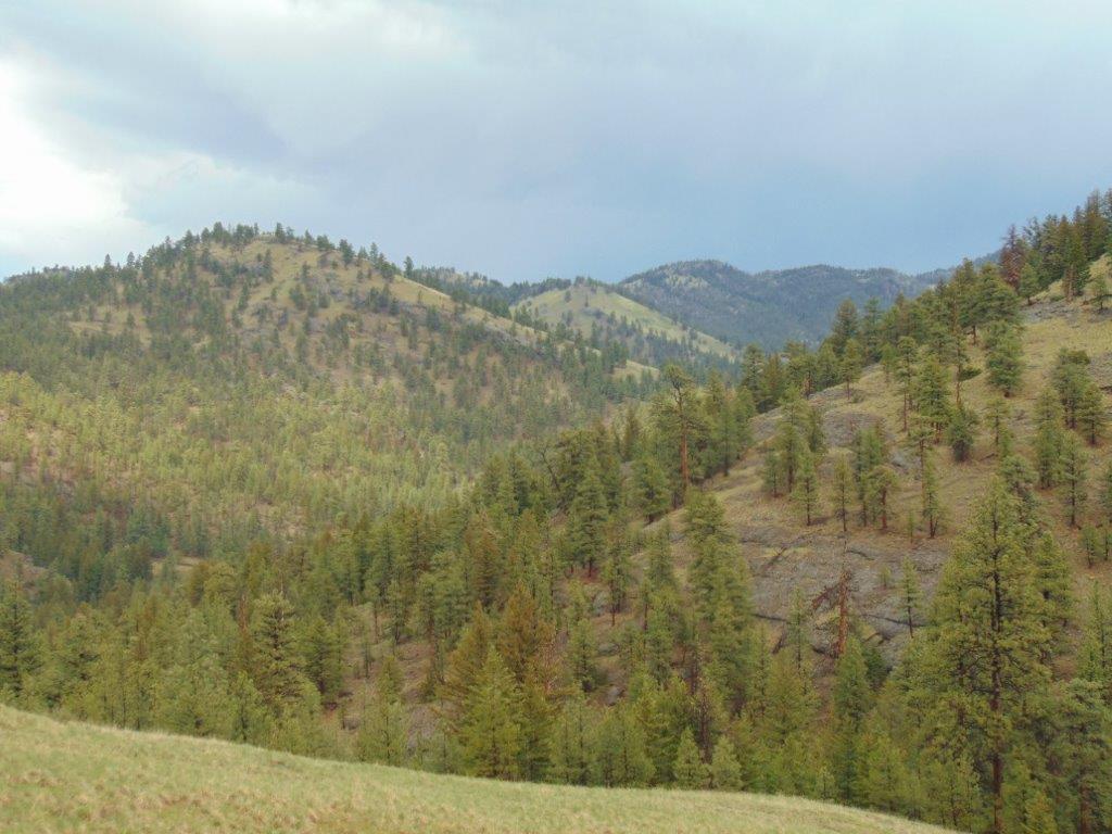 Tbd Shady Springs Property Photo 20