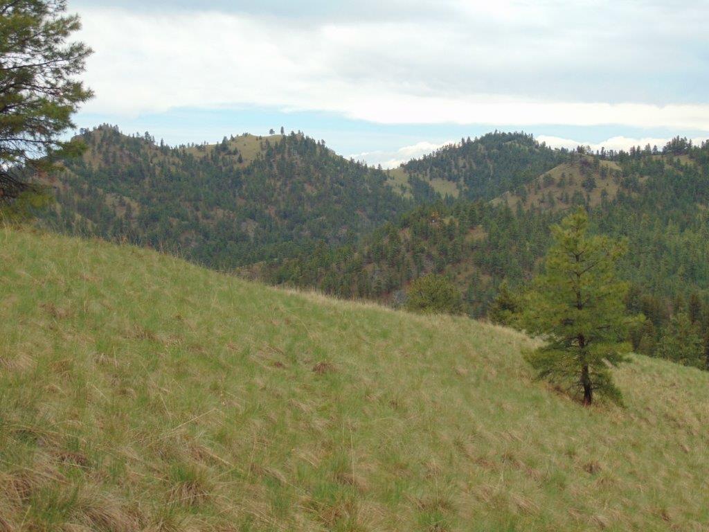 Tbd Shady Springs Property Photo 21