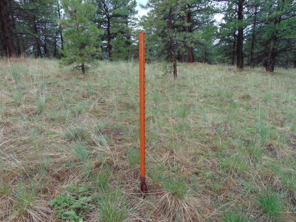 Tbd Shady Springs Property Photo 24