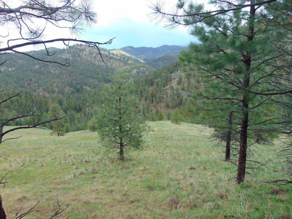 Tbd Shady Springs Property Photo 25