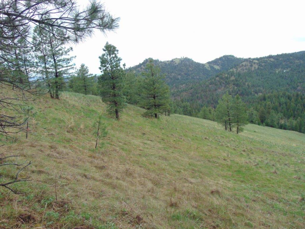 Tbd Shady Springs Property Photo 26