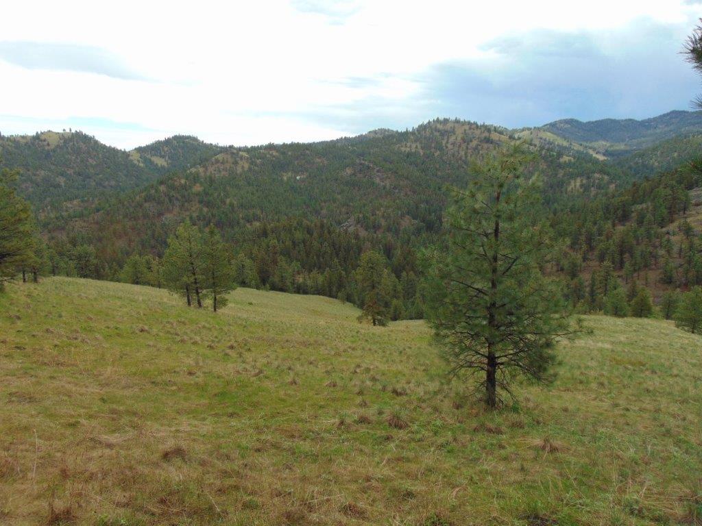Tbd Shady Springs Property Photo 27