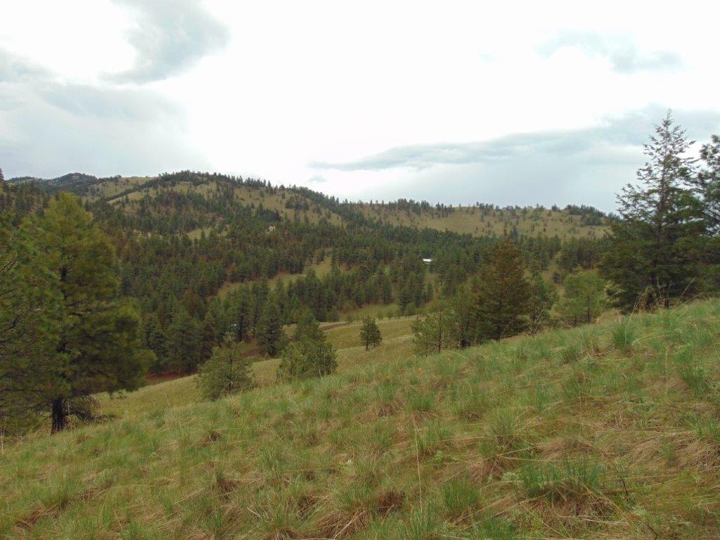 Tbd Shady Springs Property Photo 28