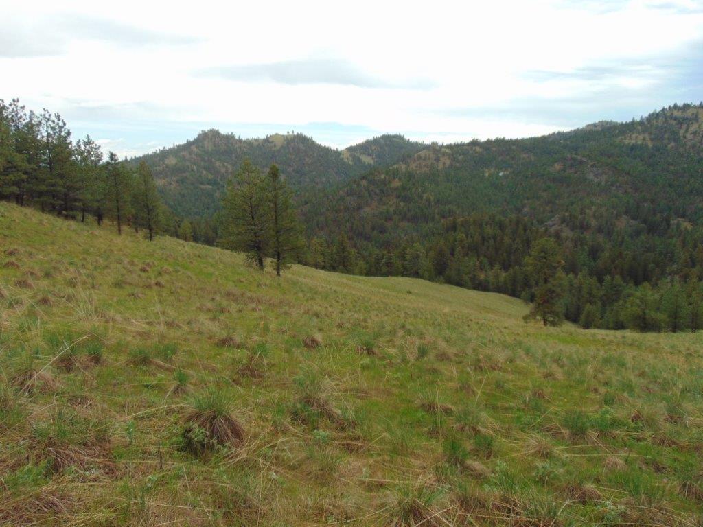 Tbd Shady Springs Property Photo 29