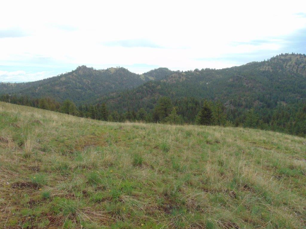 Tbd Shady Springs Property Photo 30