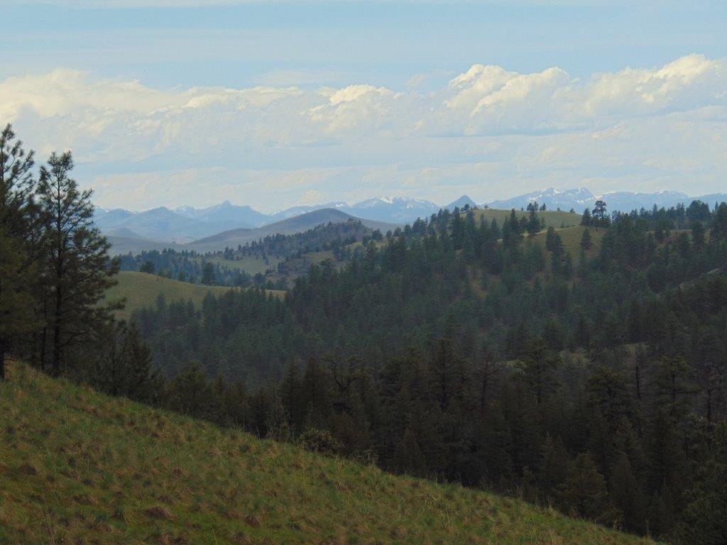 Tbd Shady Springs Property Photo 31