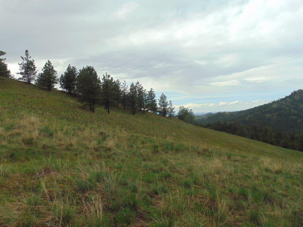 Tbd Shady Springs Property Photo 32