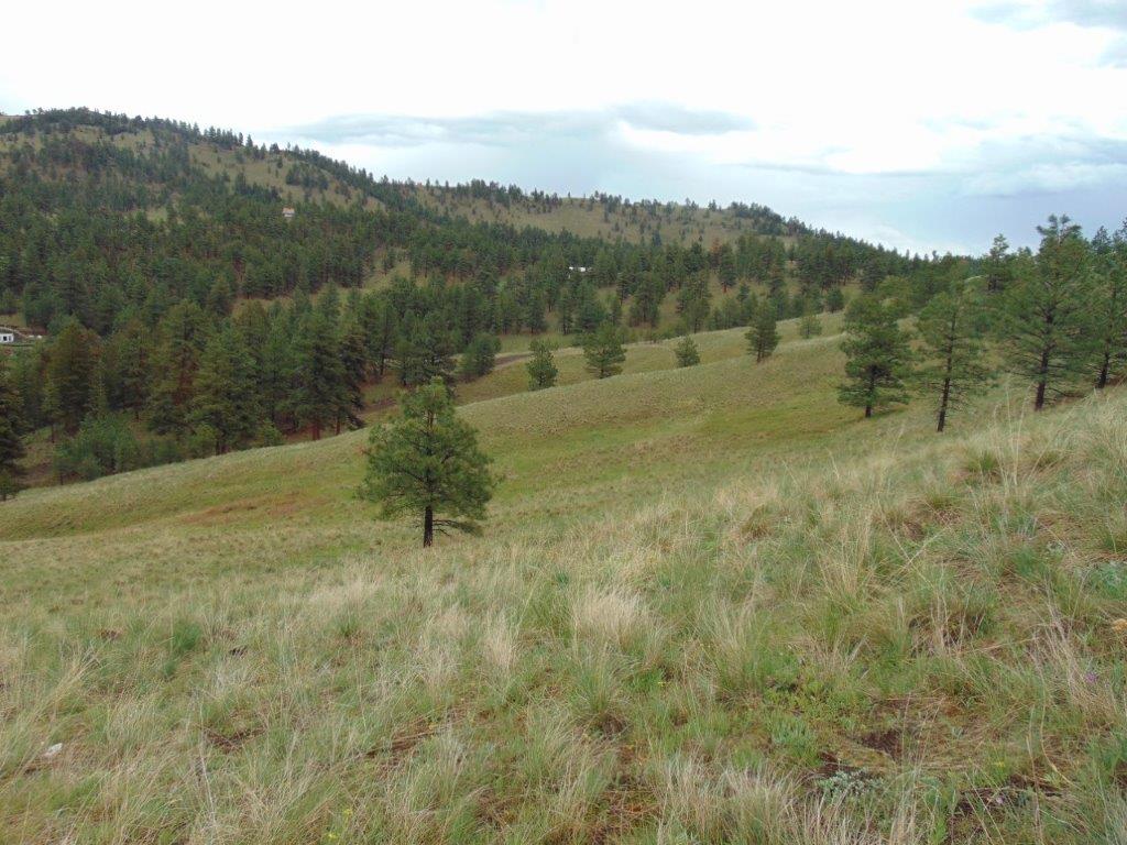 Tbd Shady Springs Property Photo 33
