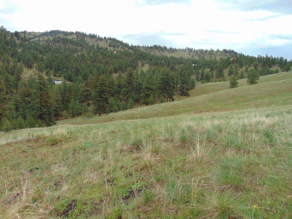 Tbd Shady Springs Property Photo 35