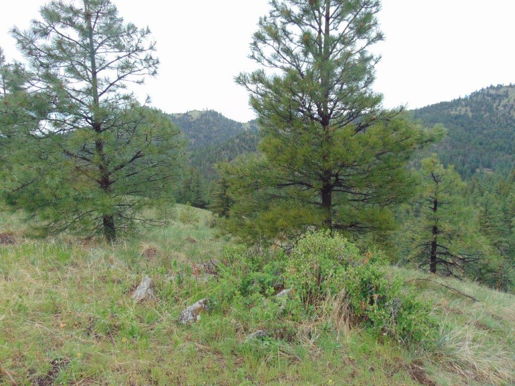 Tbd Shady Springs Property Photo 36