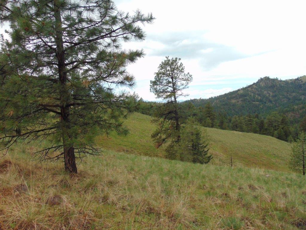 Tbd Shady Springs Property Photo 37