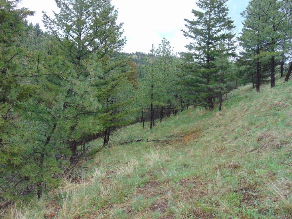 Tbd Shady Springs Property Photo 38
