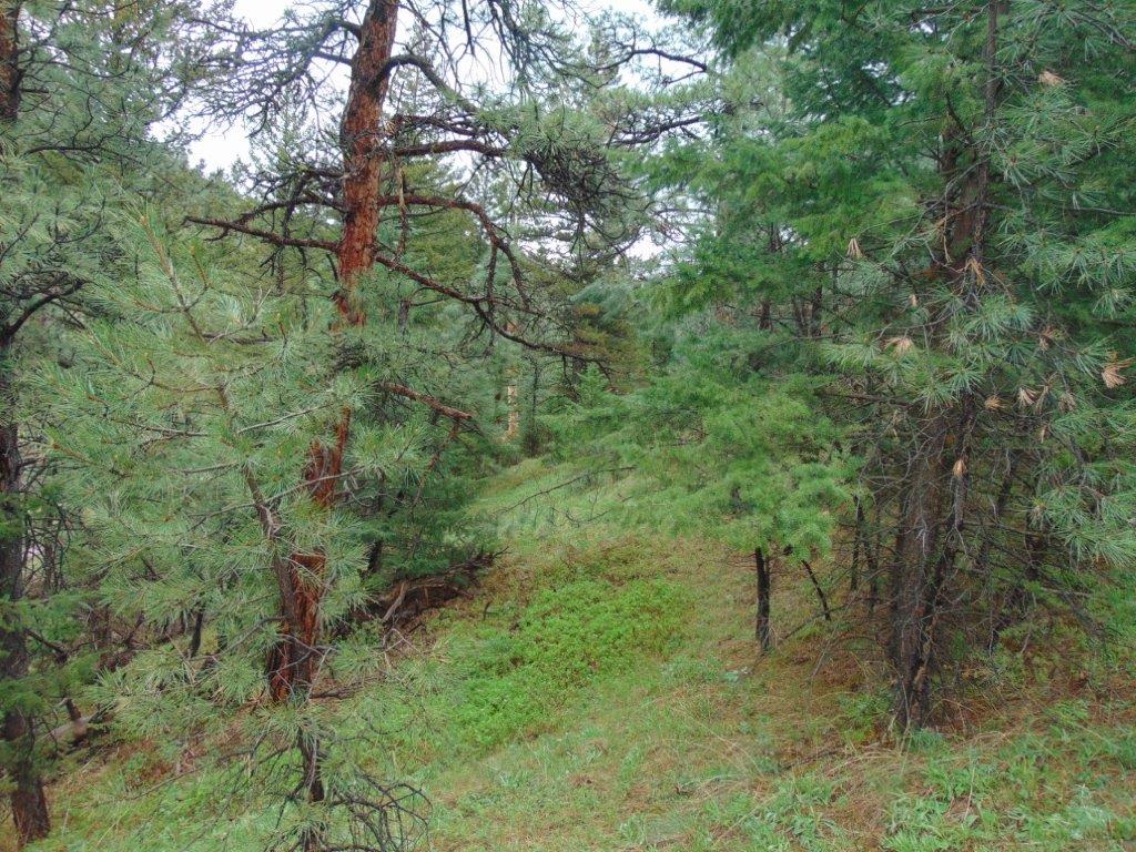 Tbd Shady Springs Property Photo 39