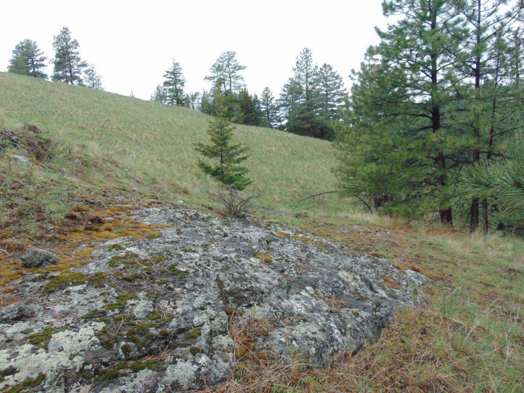 Tbd Shady Springs Property Photo 40