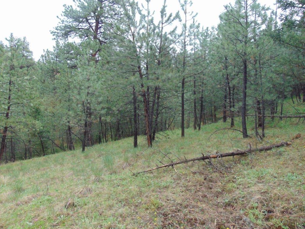 Tbd Shady Springs Property Photo 44