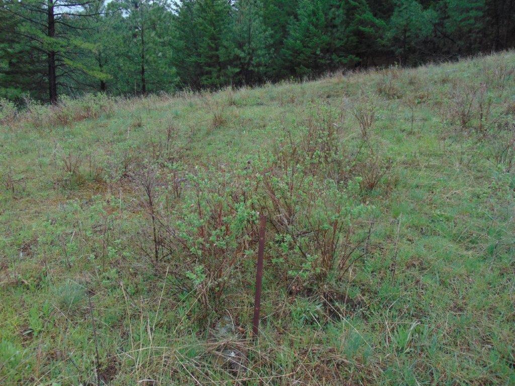 Tbd Shady Springs Property Photo 45