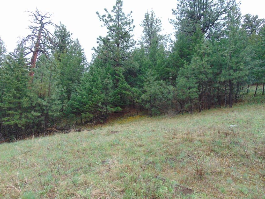 Tbd Shady Springs Property Photo 46