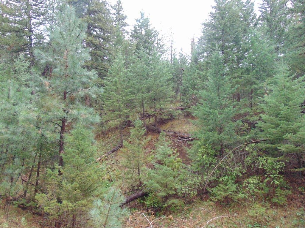 Tbd Shady Springs Property Photo 47