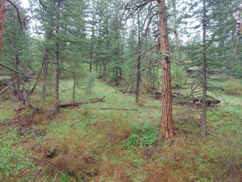 Tbd Shady Springs Property Photo 48