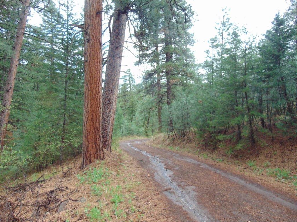 Tbd Shady Springs Property Photo 49