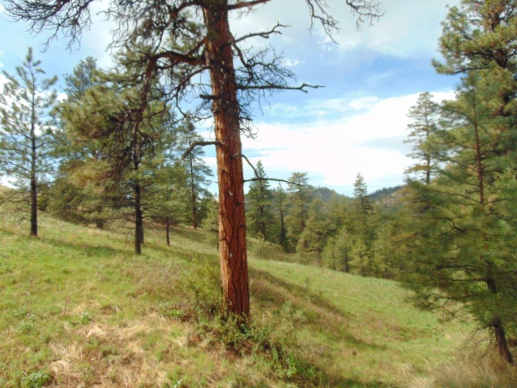 Tbd Shady Springs Property Photo 50