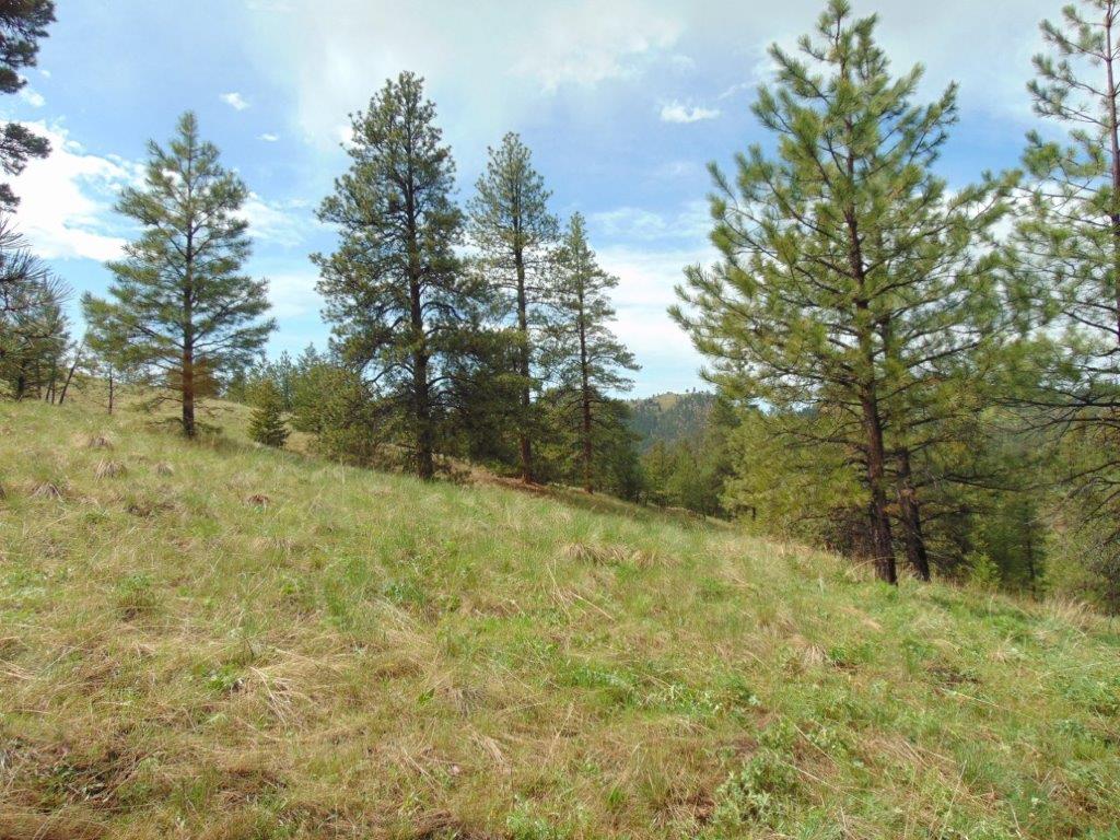 Tbd Shady Springs Property Photo 51